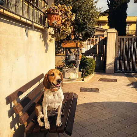 Delizioso In Tra Mare E Citta Apartamento